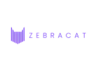 Zebracat